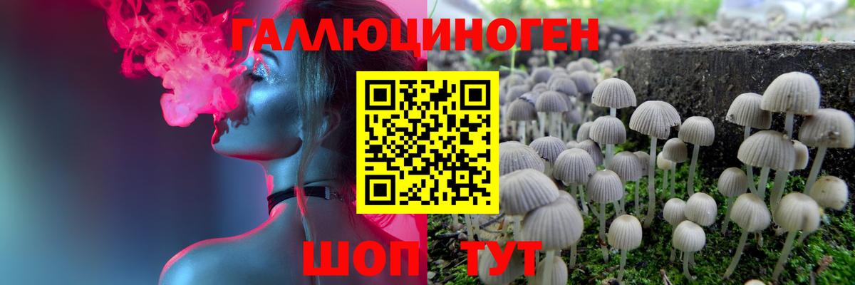 Уварово  Псилоцибиновые грибы Cubensis  Вход с VPN 